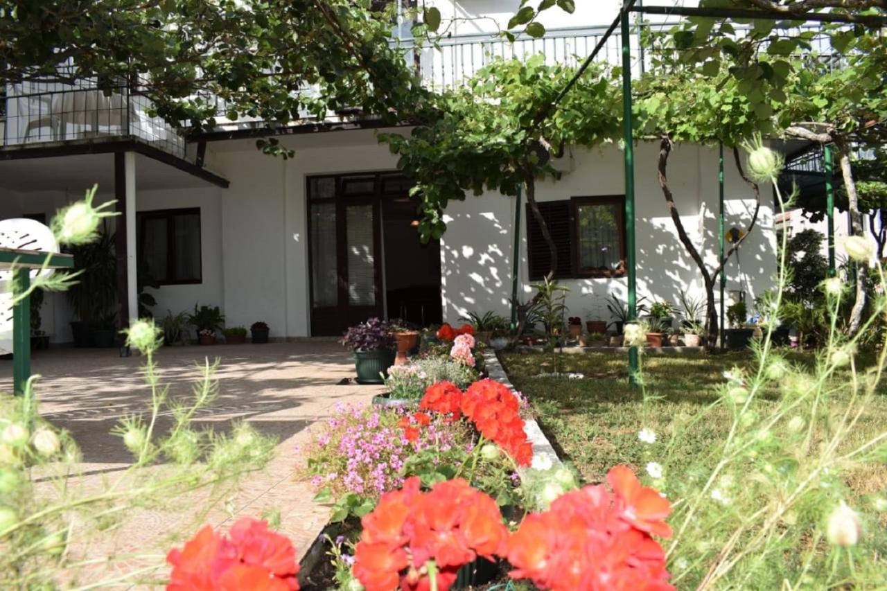 Apartments Marina Bečići Esterno foto