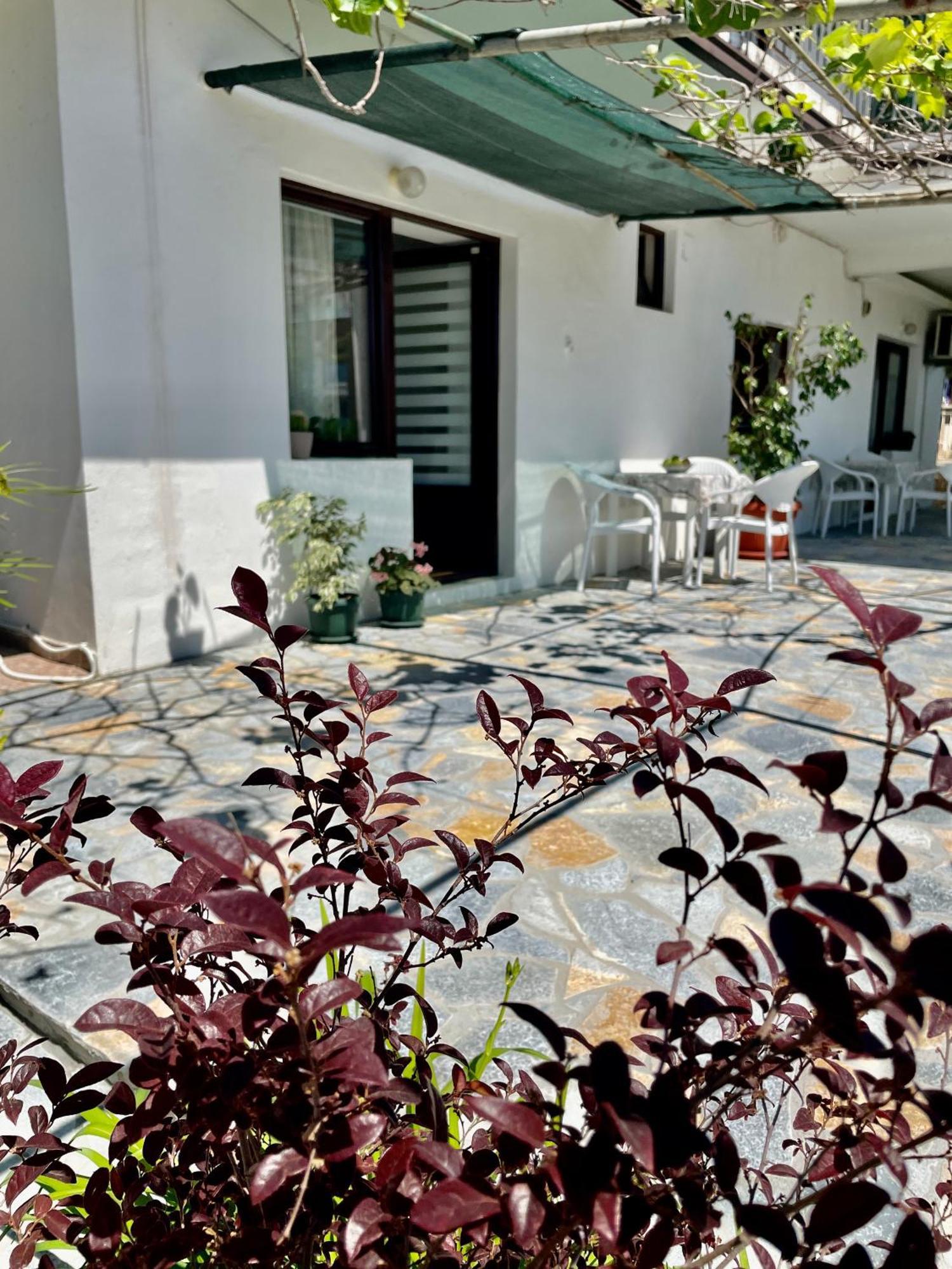 Apartments Marina Bečići Esterno foto